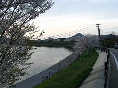 afternoon walk (in hagi)